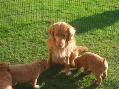 Das sind meine Babys?