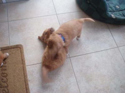 kleiner Kampf Teil 2