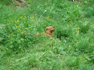 Hab ich nicht ein tolle(r)s versteck?