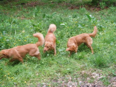 Schw�nzchen in die H�h!