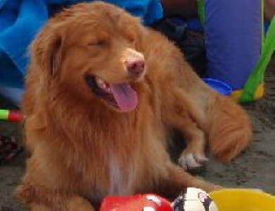 Die Sonne blended so!