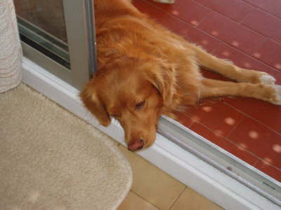 Ob das bequem ist...naja...